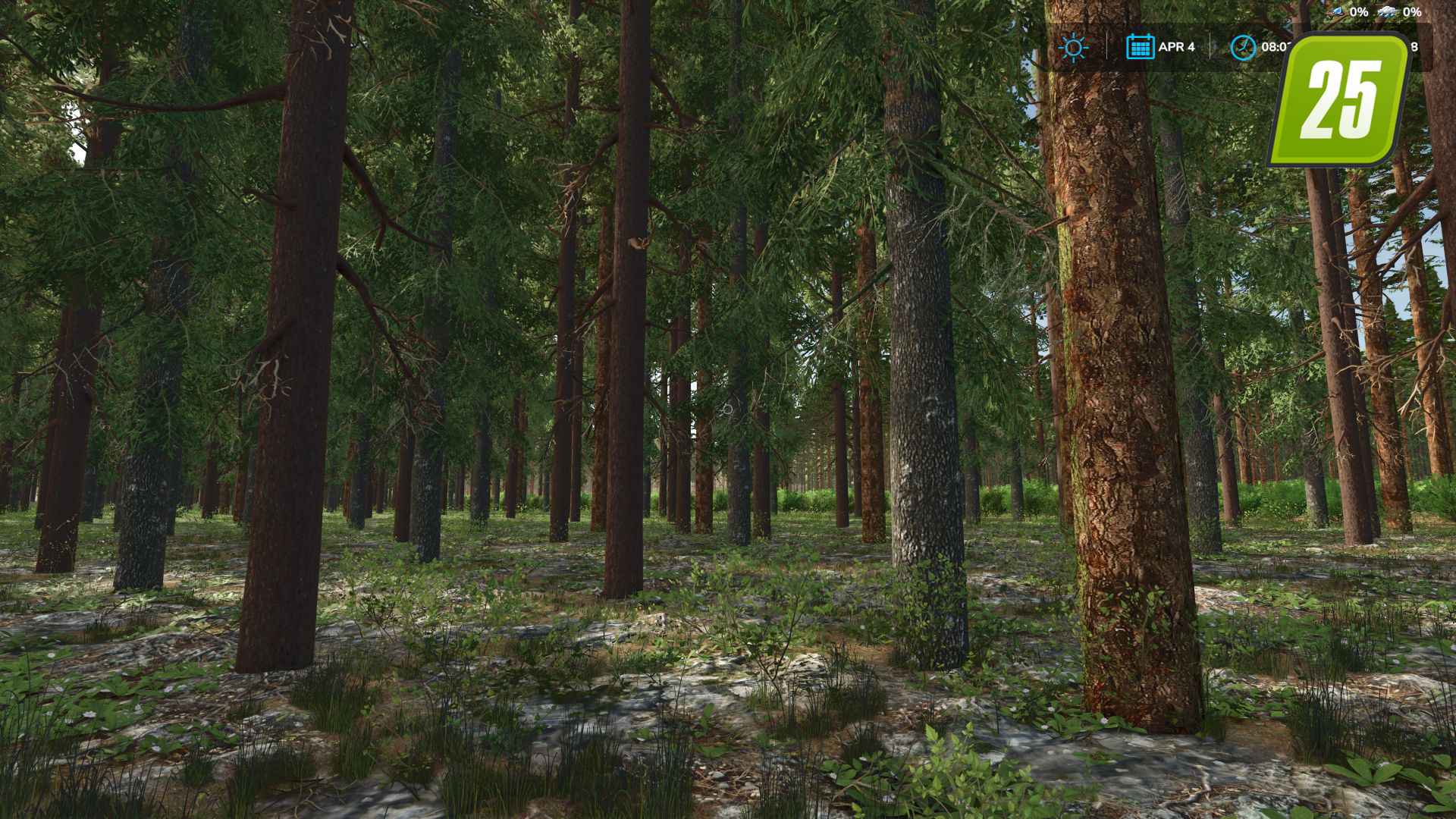 Southern Logging3 (1)